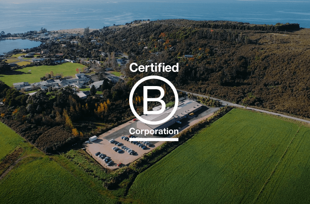 Our journey to becoming a B Corp